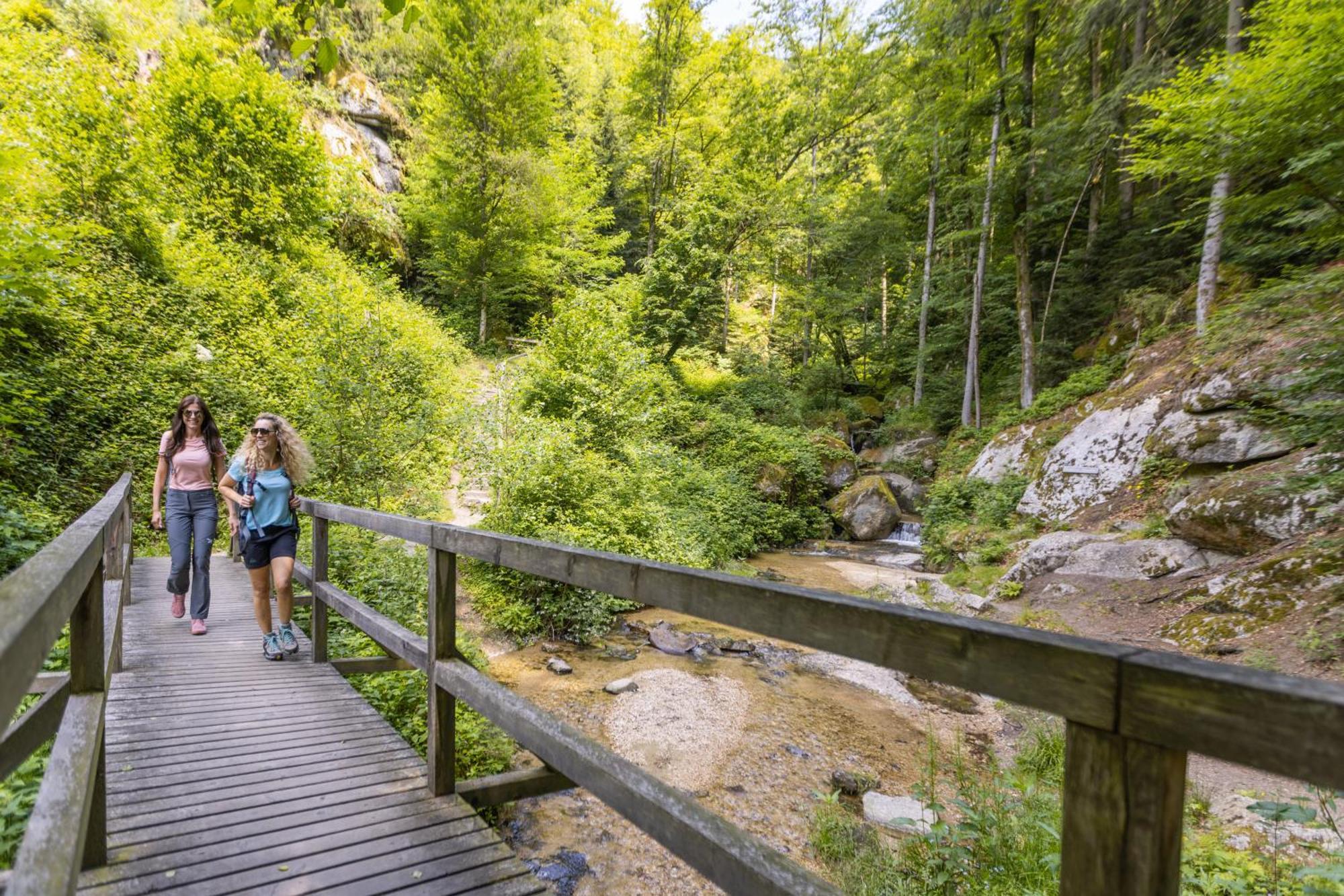 Ferienwohnung Am Wildbach bei Passau Saming Exterior foto