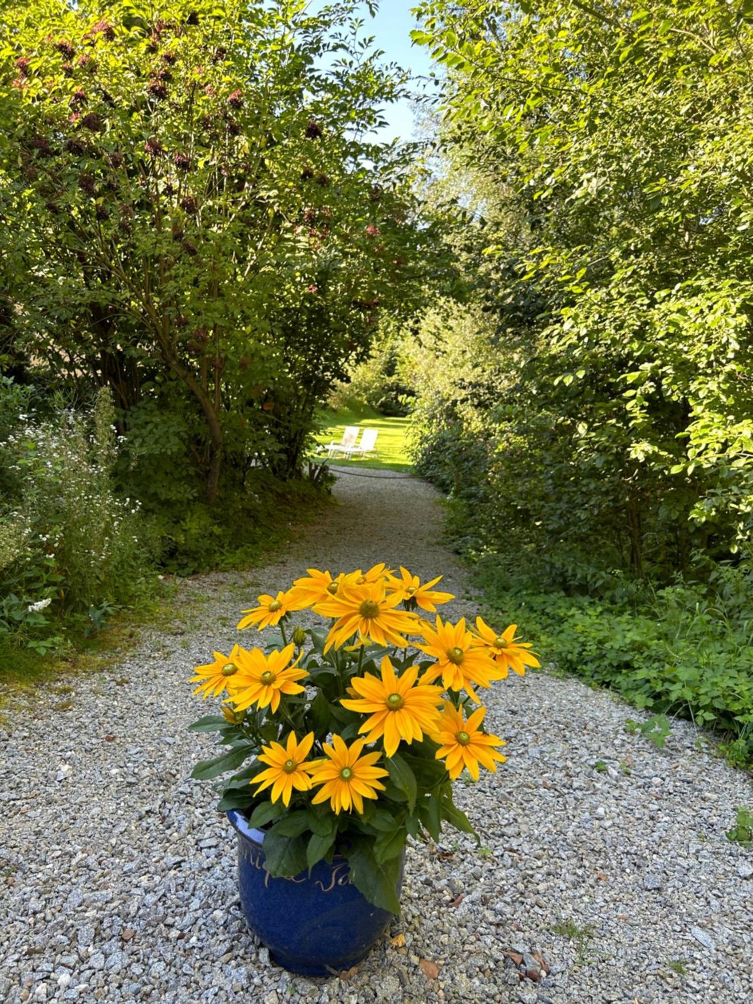 Ferienwohnung Am Wildbach bei Passau Saming Exterior foto